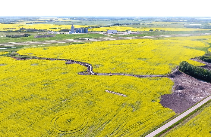This photo by Kevin Weedmark shows canola fields and the Parrish and Heimbecker terminal just west of Moosomin.