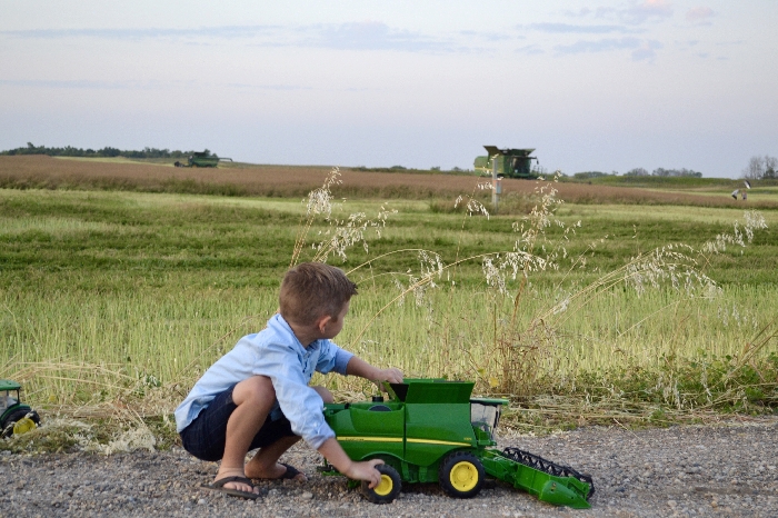 Chelsea Warkentin submitted this photo for our harvest photo contest