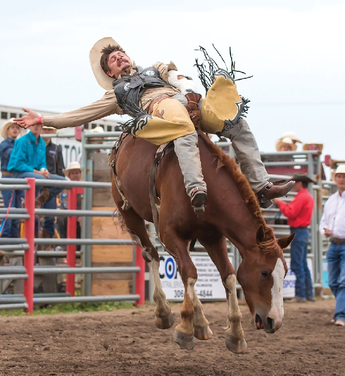 A bareback rider hangs onto his bronc during last years Moose Mountain Pro Rodeo.