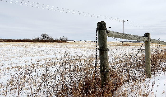 Last weeks heavy snowfall was a welcome change for producers in southeast Saskatchewan.