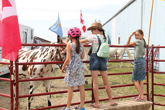 Girls petting one of Doug Sauters appaloosa horses