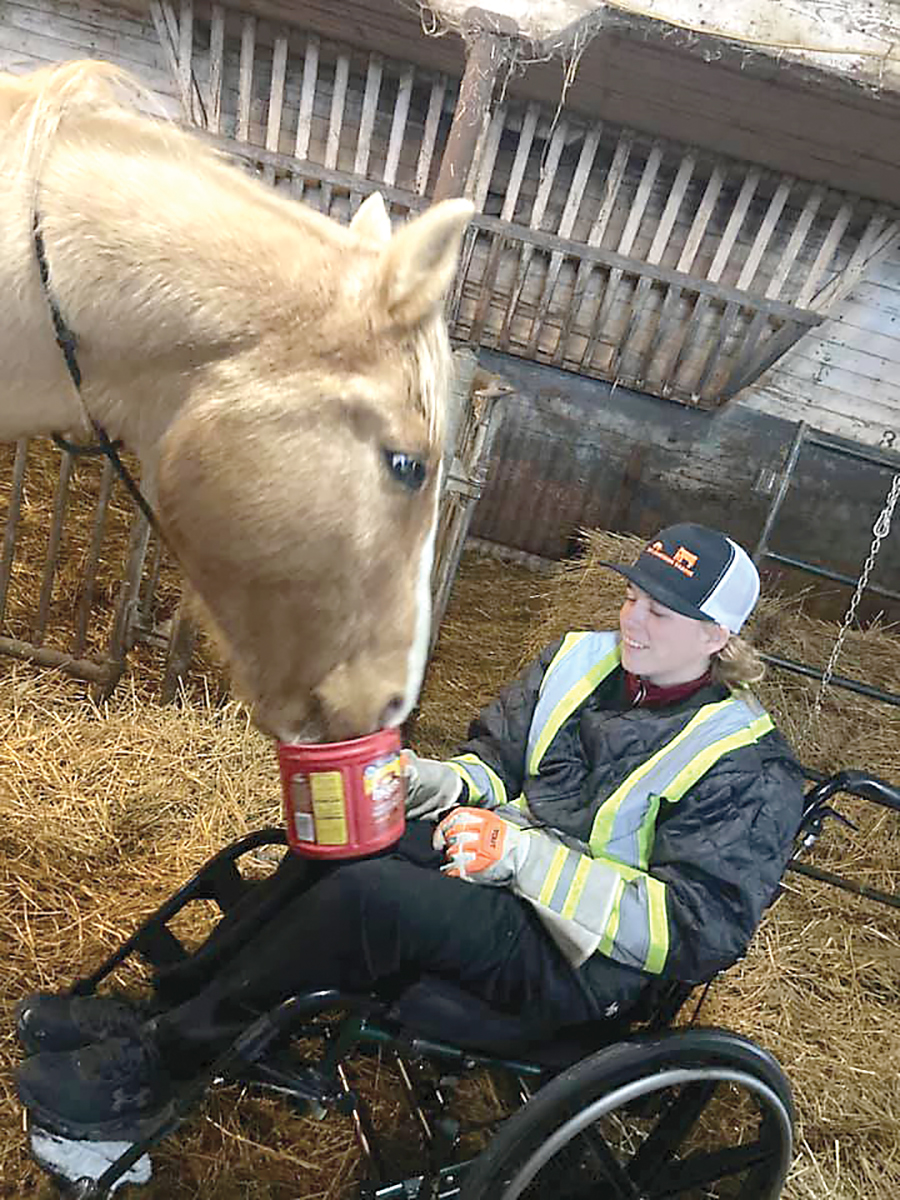 Levi feeding his horse Buddy