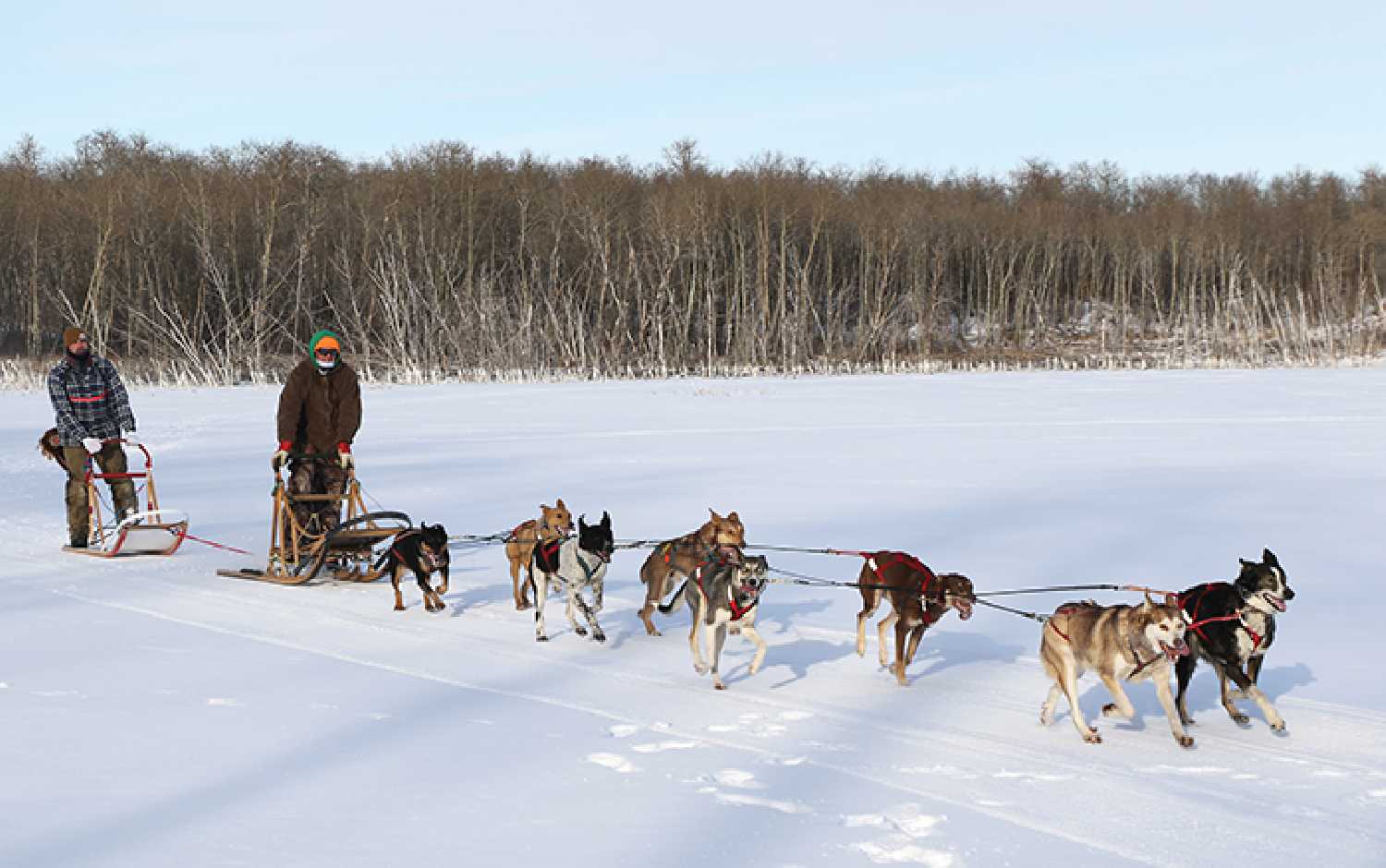 Owner of Eagle Ridge Dog Sled Tours, Garrick Schmidt and president of Métis Nation of Saskatchewan—Eastern Region 3 Dexter Mondor, go dogsledding on Kenosee Lake during their winter camp weekend.
