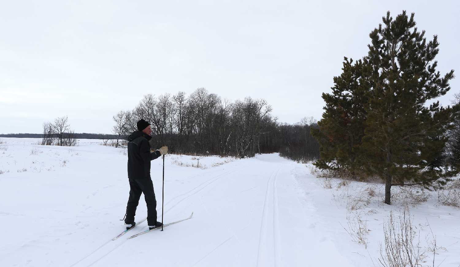 Rocanville Cross-Country Ski Club executive member Dennis Hack, goes skiing almost everyday throughout the different ski trails at Rocanville’s Cross-Country Ski Trails.