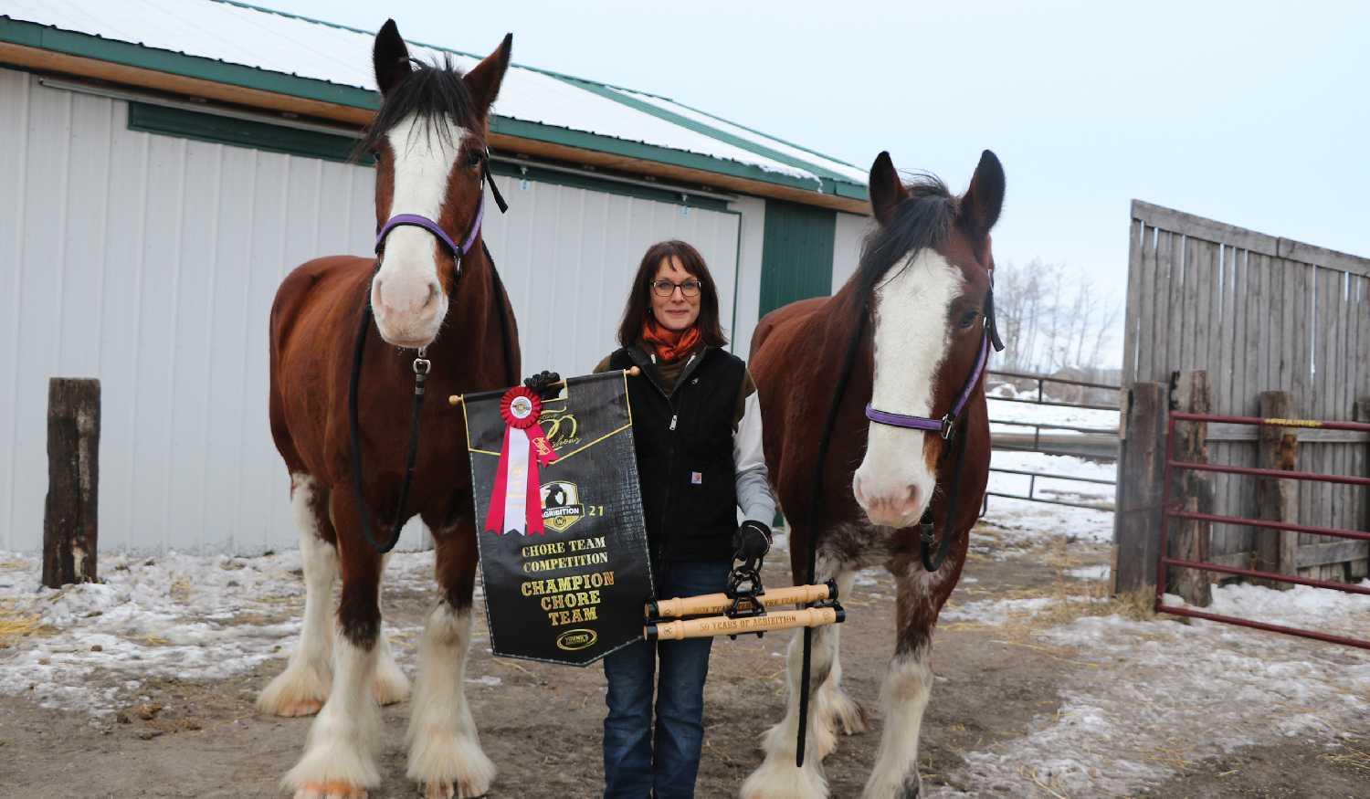 Michelle Newton took first place in the Chore Team Competition at Agribition this year. It’s the first time the competition has been won by a woman, and the first time it has been won with a team of Clydesdales. Inset is her championship buckle.