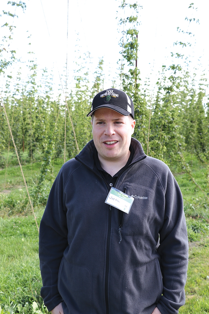 Justin Shepherd standing next to a row of newer hop vines.