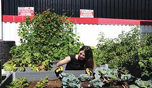 Moosomin food bank needs more donations