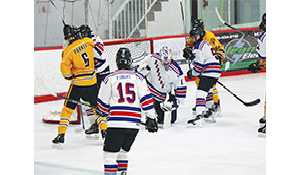 Mike Schwean Arena getting upgrades for 50th anniversary