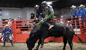 Wapella Dodge City Days rodeo this Saturday