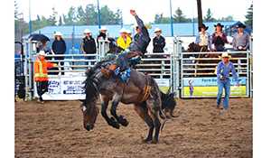 Bulls and Broncs back July 12