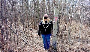 Town of Rocanville: Outdoor walking trail to be completed by end of June